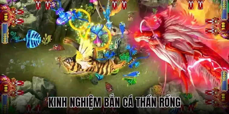 Cách Chơi Bắn Cá Rồng Nohu90: Chinh Phục Rồng Vàng, Nhận Thưởng Khủng