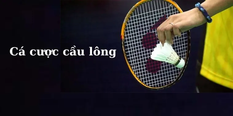 Bí Kíp Chơi Cá Cược Cầu Lông Nohu90 Dễ Thắng Cho Người Mới