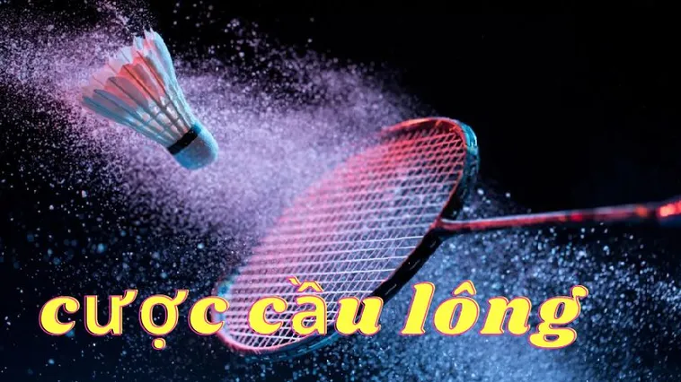 Bí Kíp Chơi Cá Cược Cầu Lông Nohu90 Dễ Thắng Cho Người Mới
