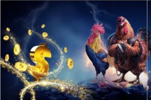 Cách Chơi Đá Gà Sabong Nohu90: Bí Quyết Cá Cược Hiệu Quả Nhất