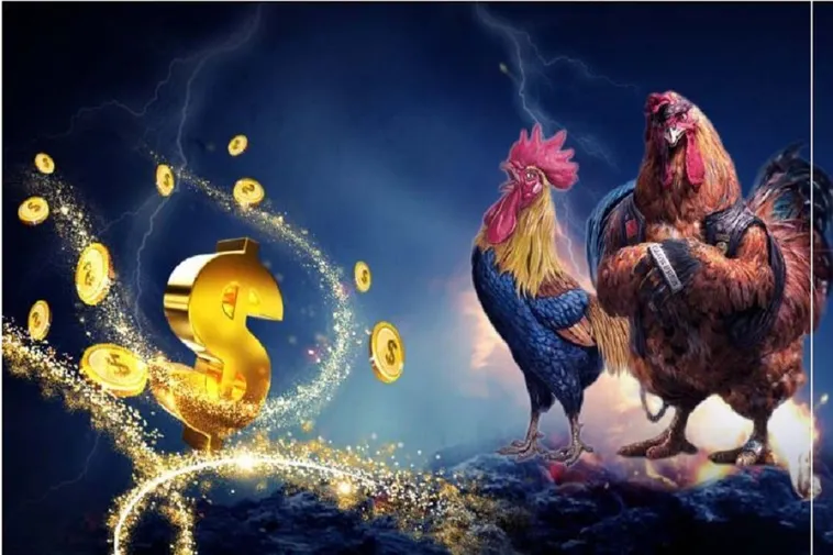 Cách Chơi Đá Gà Sabong Nohu90: Bí Quyết Cá Cược Hiệu Quả Nhất