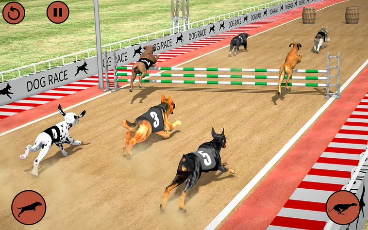 Hướng Dẫn Chơi Game Nhanh Đua Chó Tại Nohu90 Thắng Lớn Dễ Dàng 2 Hướng Dẫn Chơi Game Nhanh Đua Chó Tại Nohu90 Thắng Lớn Dễ Dàng