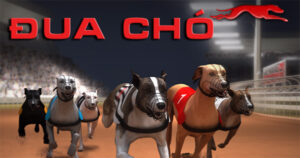 Hướng Dẫn Chơi Game Nhanh Đua Chó Tại Nohu90 Thắng Lớn Dễ Dàng