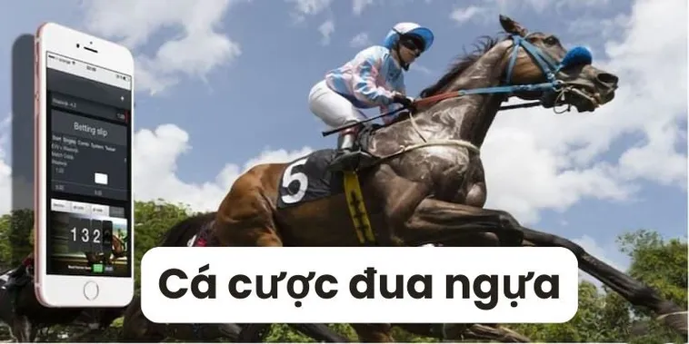 Bí Quyết Thắng Lớn Với Cá Cược Đua Ngựa Nohu90 Cho Người Mới